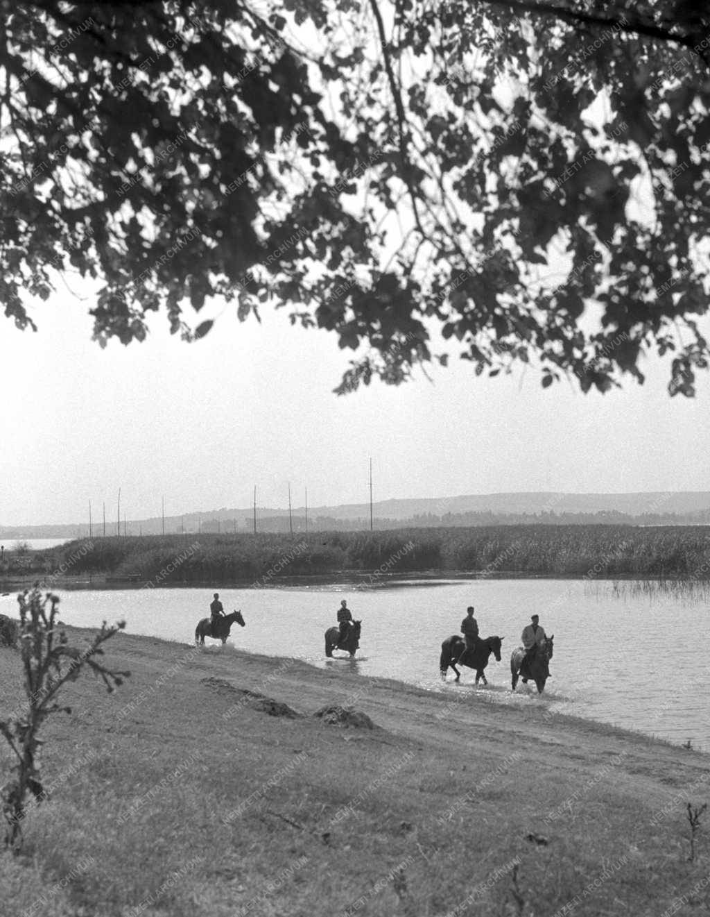 Szabadidő - Lovasok a Balatonnál