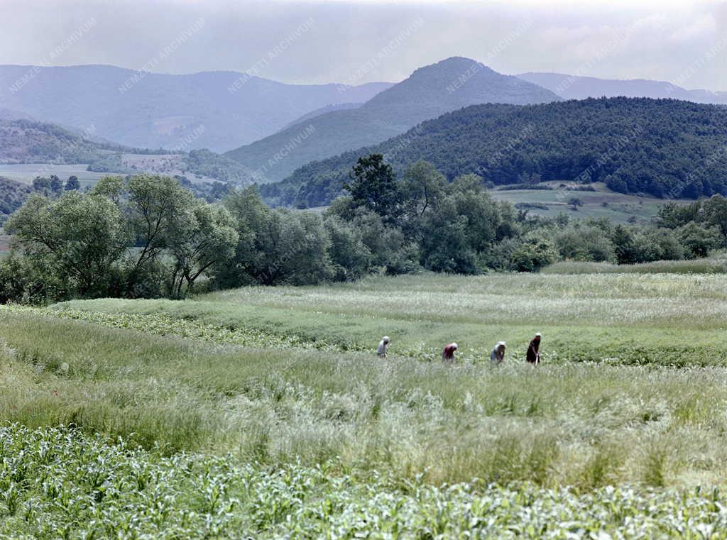 Turizmus - Magyar tájak - Bükk