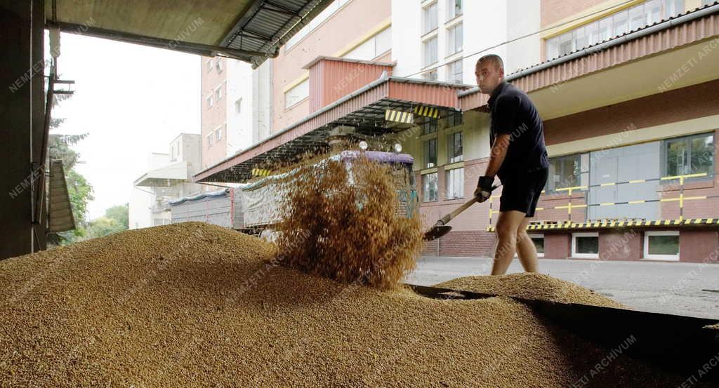 Élelmiszeripar - Hajdúnánás - Gabona termés a malomban