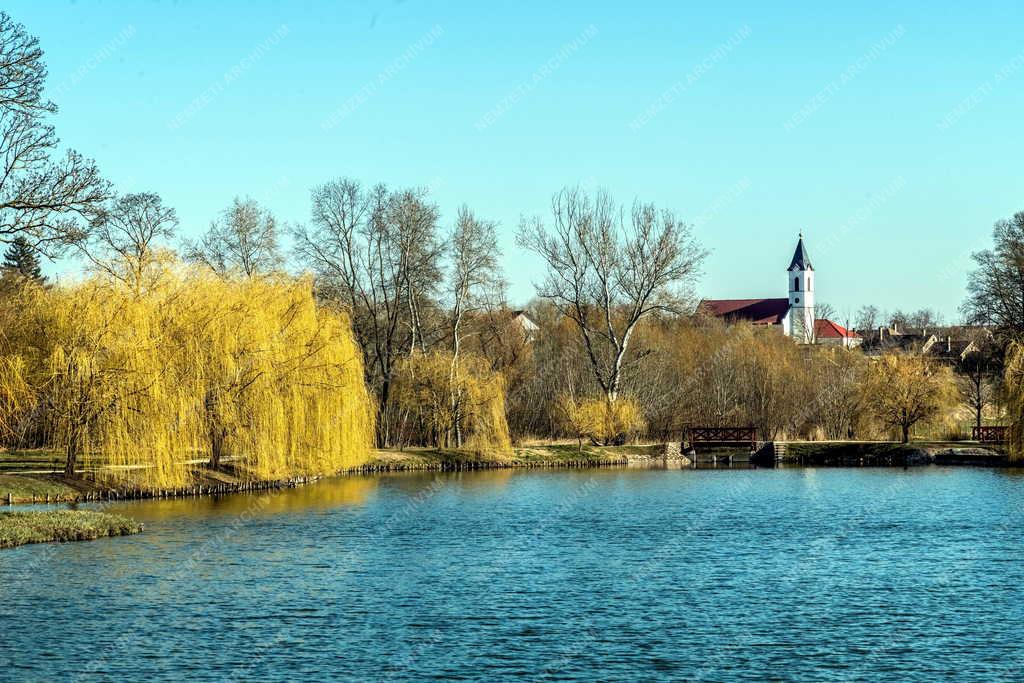 Település - Dég - Park-tó