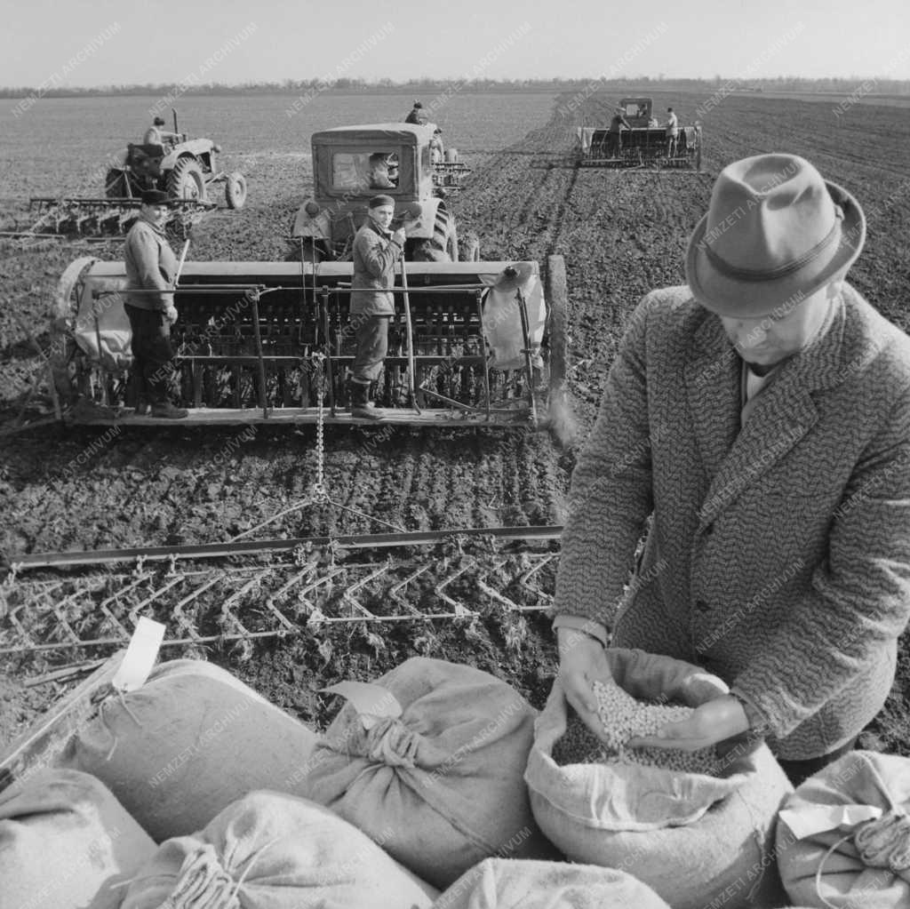 Mezőgazdaság - Kora tavaszi munkák Szolnok megyében