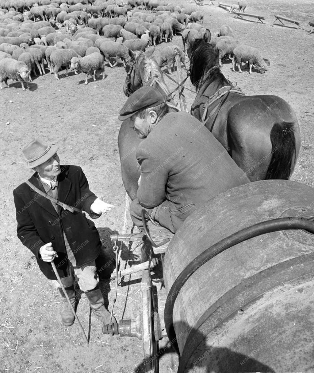 Mezőgazdaság - Vízcsökkenés Nyirádon és környékén