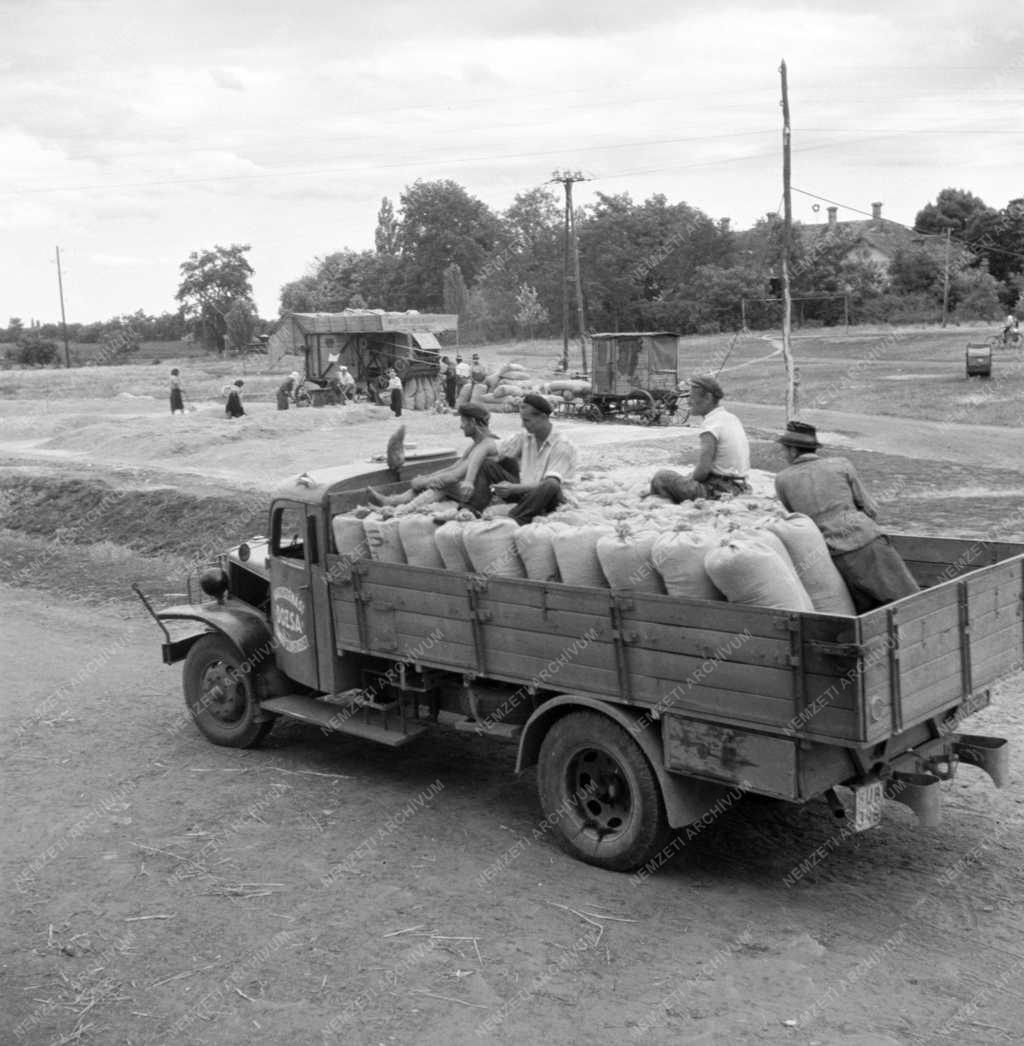 Mezőgazdaság - Őszi árpa beadása a nagyszénási Dózsa Tsz-ben