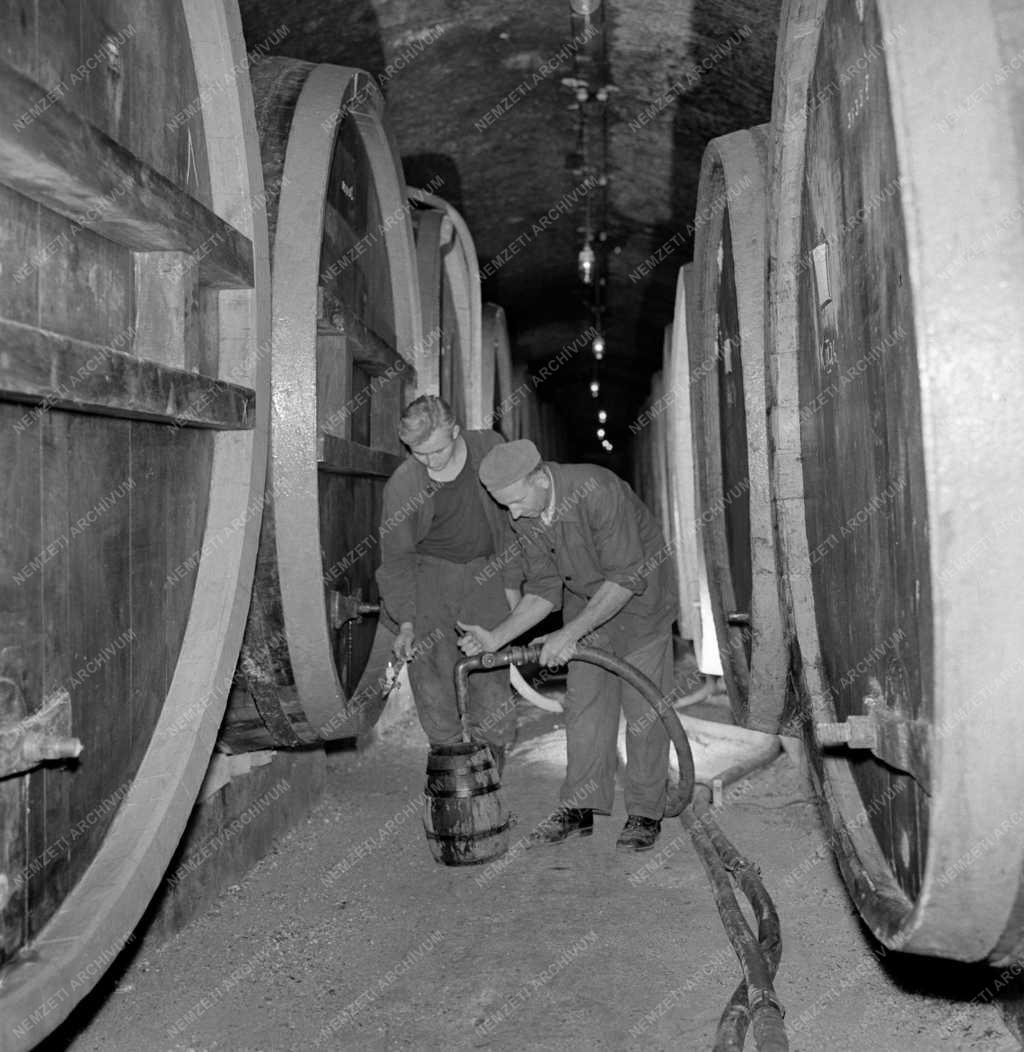 Ipar - Borászat - Százhúsz éves borospince