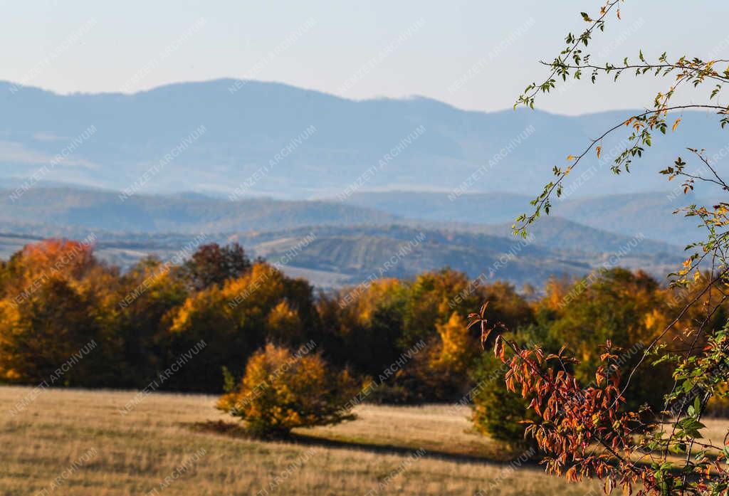 Természet - Zsobok - Ősz a határban