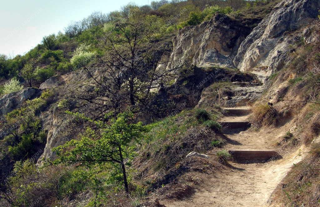 Budapest -  Sashegy - Tanösvény