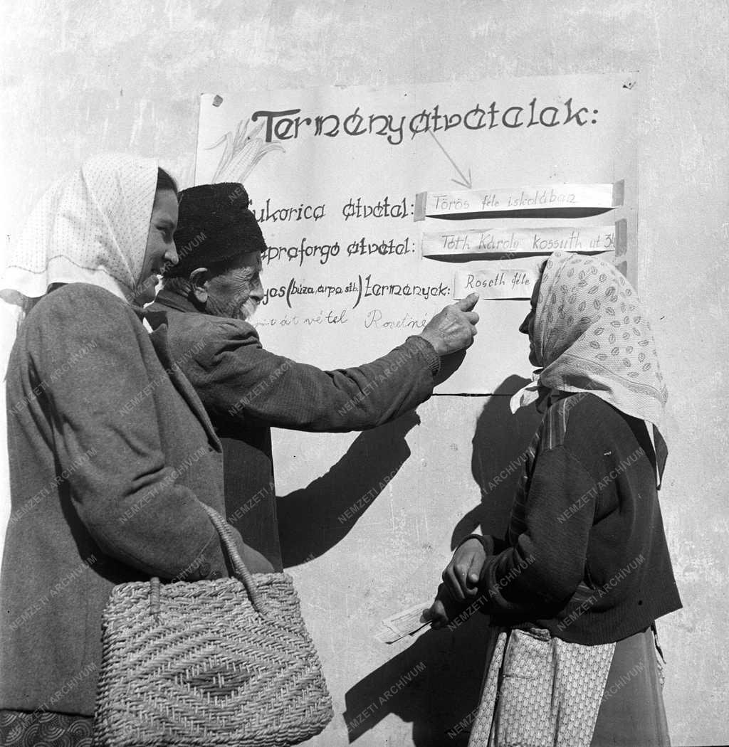 Mezőgazdaság - Termelőszövetkezet - Beszolgáltatás
