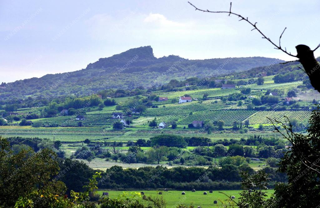 Tájkép - Balatonfelvidéki táj