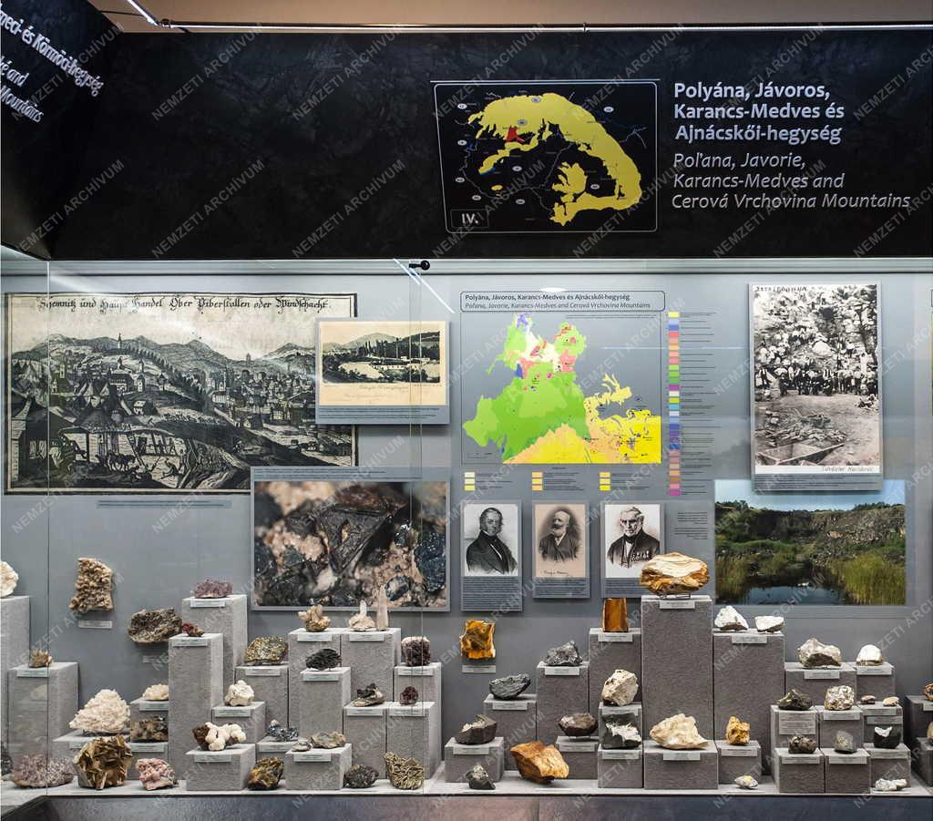 Kultúra - Miskolc - Új kiállítóhely - Pannon-tenger Múzeum