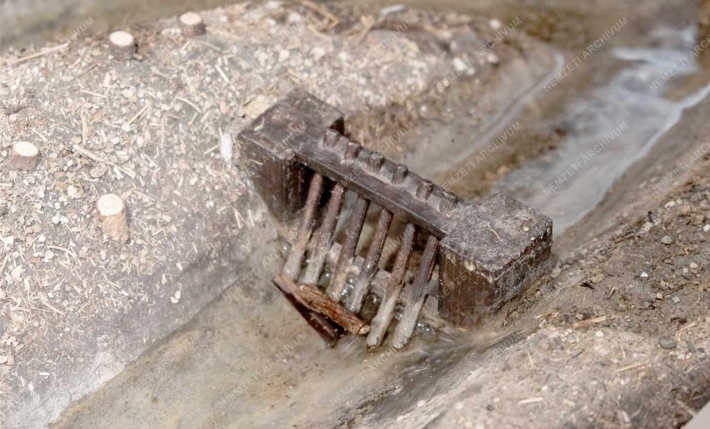 Természettudomány - Királyrét - Látogatóközpont