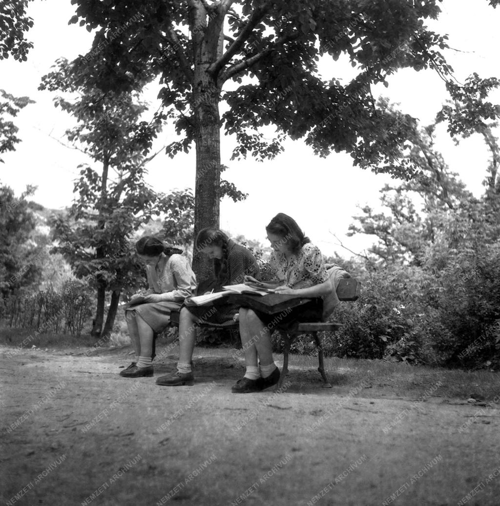 Városkép, életkép - Gellért hegy