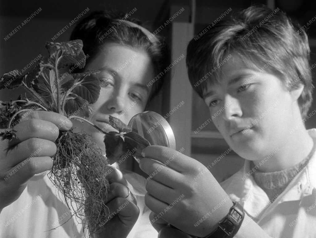 Mezőgazdaság - A Növényvédelmi Kutató Intézet kísérleti telepe