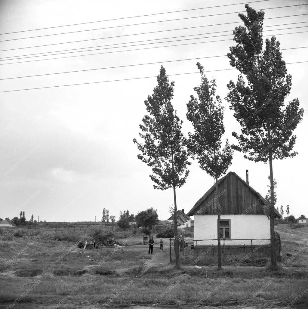 Balmazújváros - Arcok a 