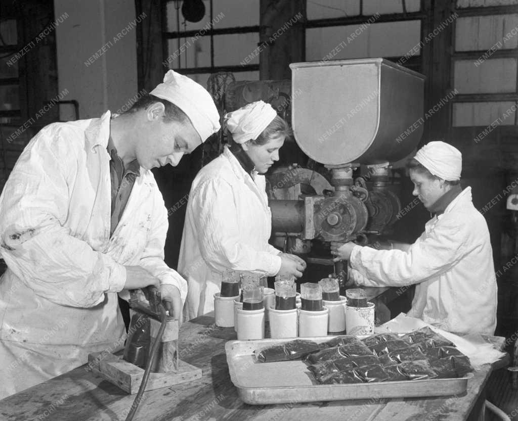 Élelmiszeripar - Fagyasztott zöldségek csomagolása