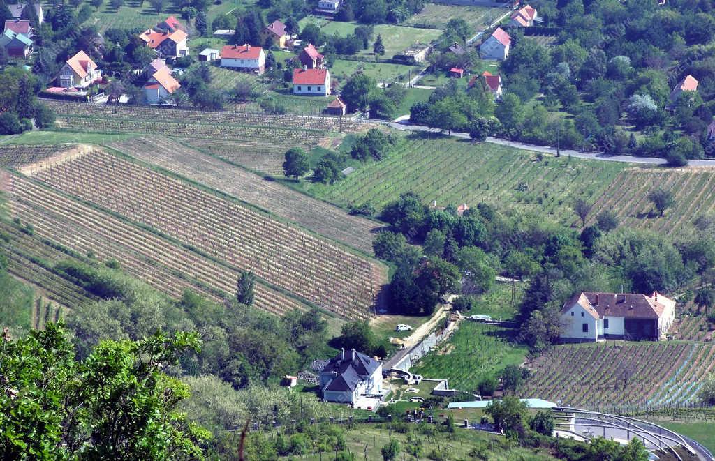 Történelmi borvidék - Badacsony - Szőlőtáblák