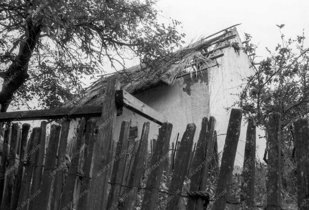 Kultúra - Film - Pipás Pista című film forgatási helyszínei