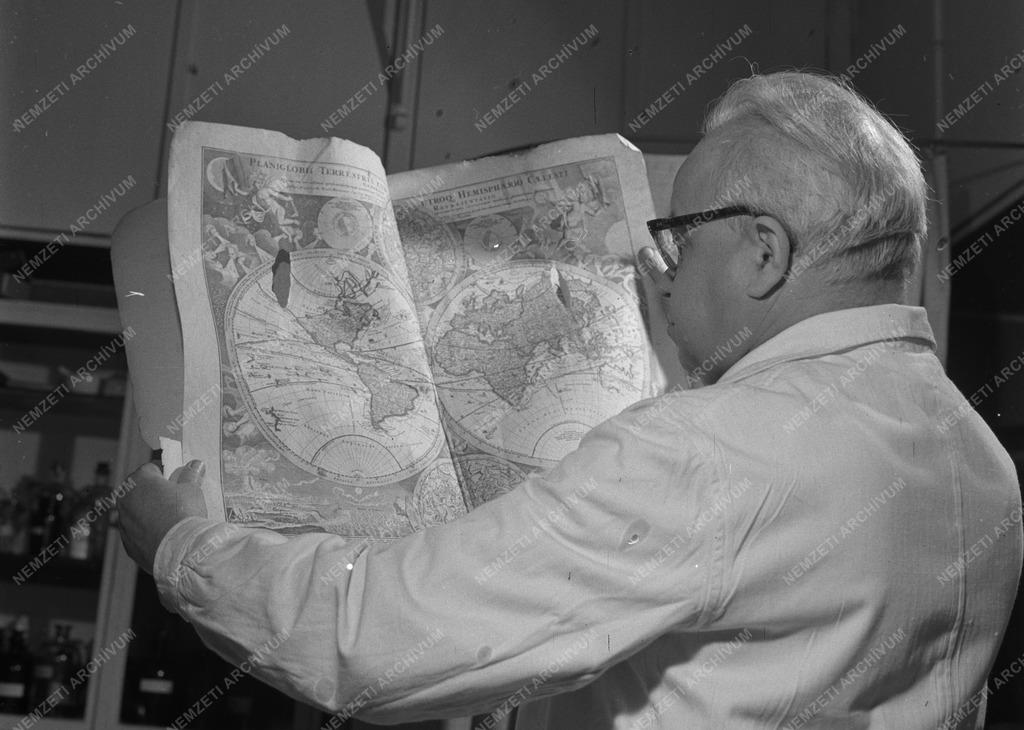 Kultúra - Régi könyvek restaurálása