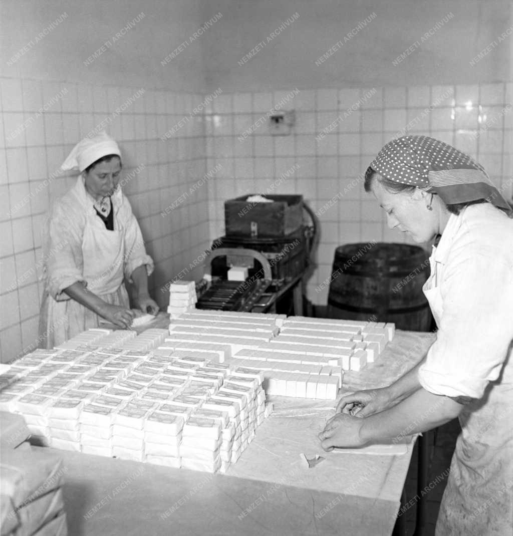 Mezőgazdaság - Tejipar - Bácsbokodi tejüzem 