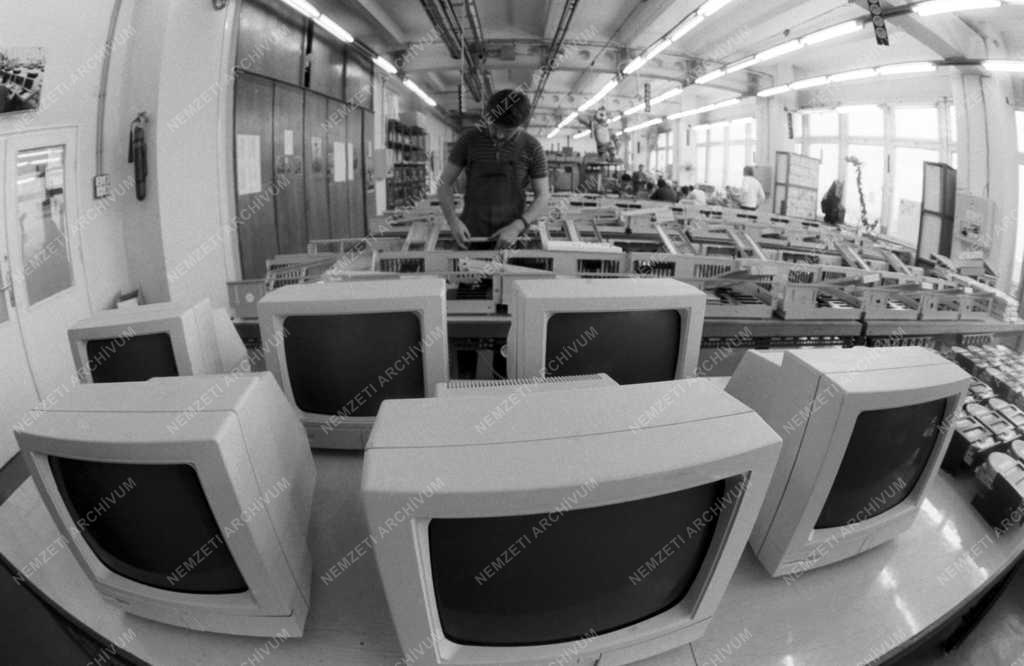 Informatika - Gyártás - Mikroinform