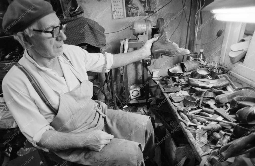 Életkép - Foglalkozás - Suszter