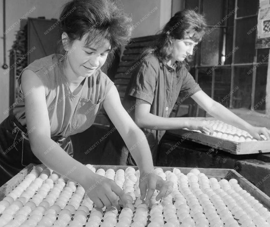 Ipar - Ping-pong labdát gyárt a Mosonmagyaróvári Fogkefegyár 