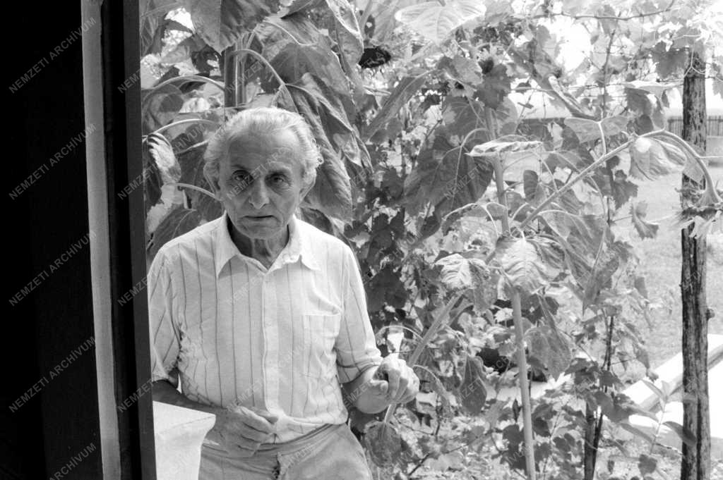 Balogh János  akadémikus