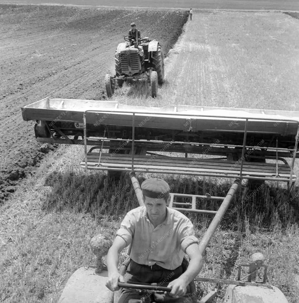 Mezőgazdaság - Dunavecsei Virágzó Termelőszövetkezet 