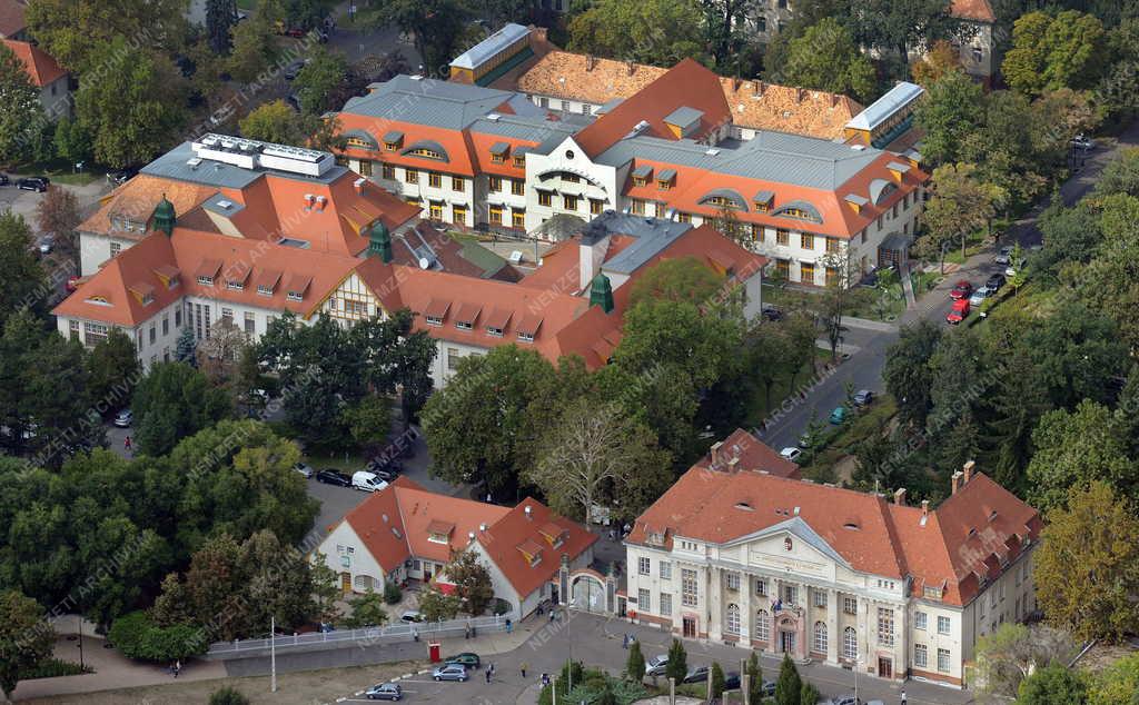 Egészségügy - Debrecen - DE Orvos- és Egészségtudományi Centrum
