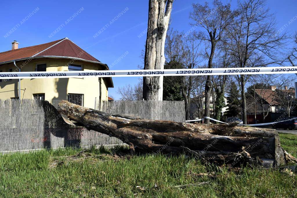 Időjárás - Budapest - Viharkár