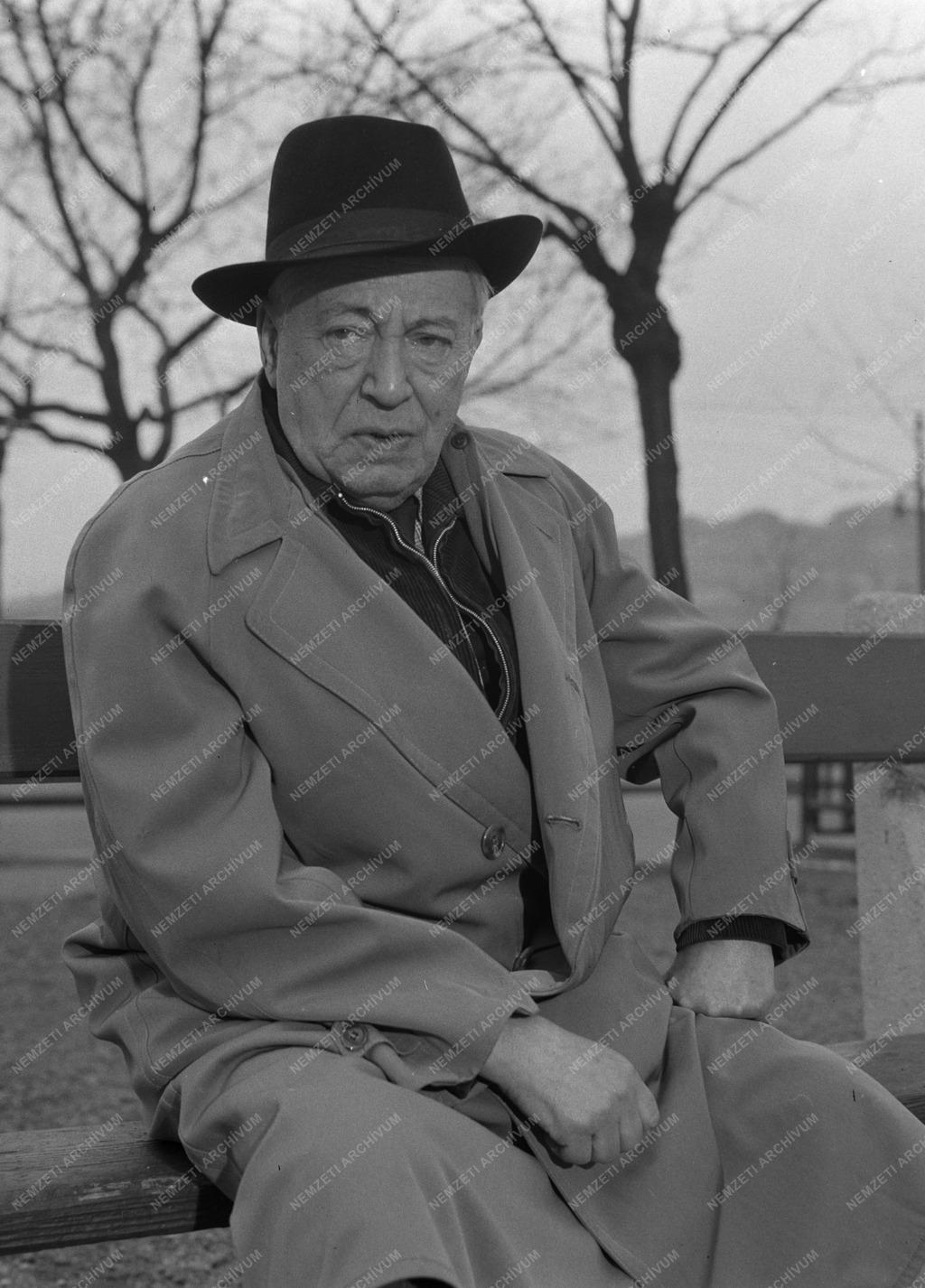 Művész portré - Gózon Gyula