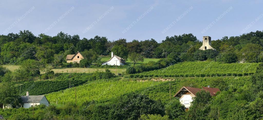 Tájkép - Balatonfelvidéki táj