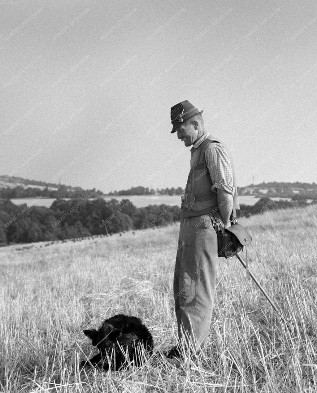 Életkép - Tóth József juhász és fafaragó