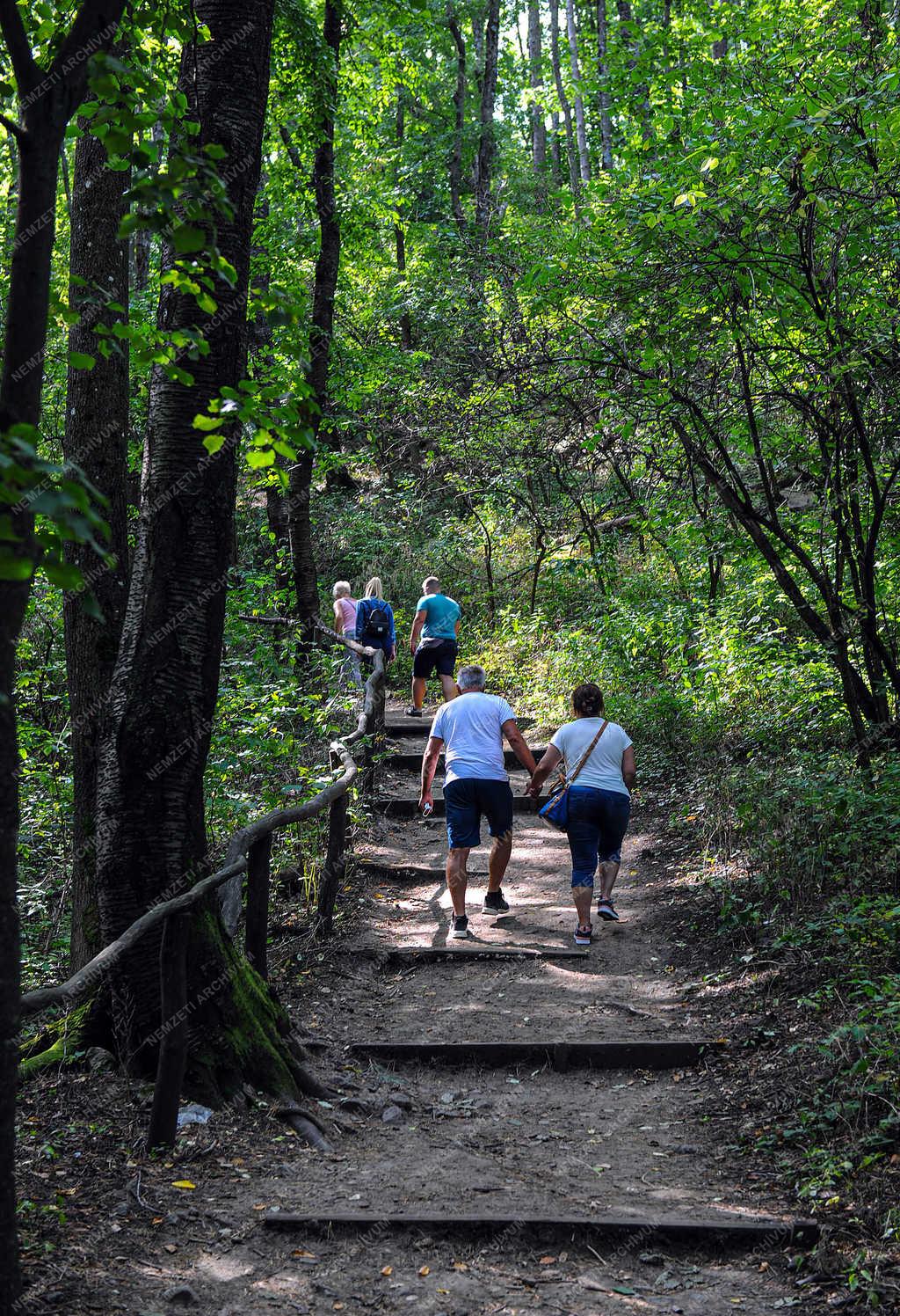 Műemlék - Füzér - Várrekonstrukció 