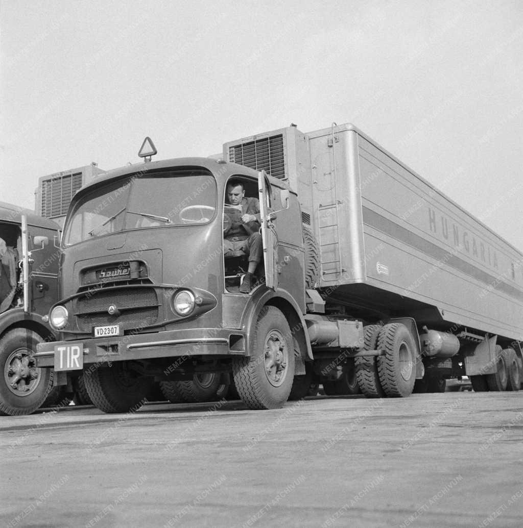 Közlekedés - Az Autóközlekedési Vállalat új hűtő teherjármúvei