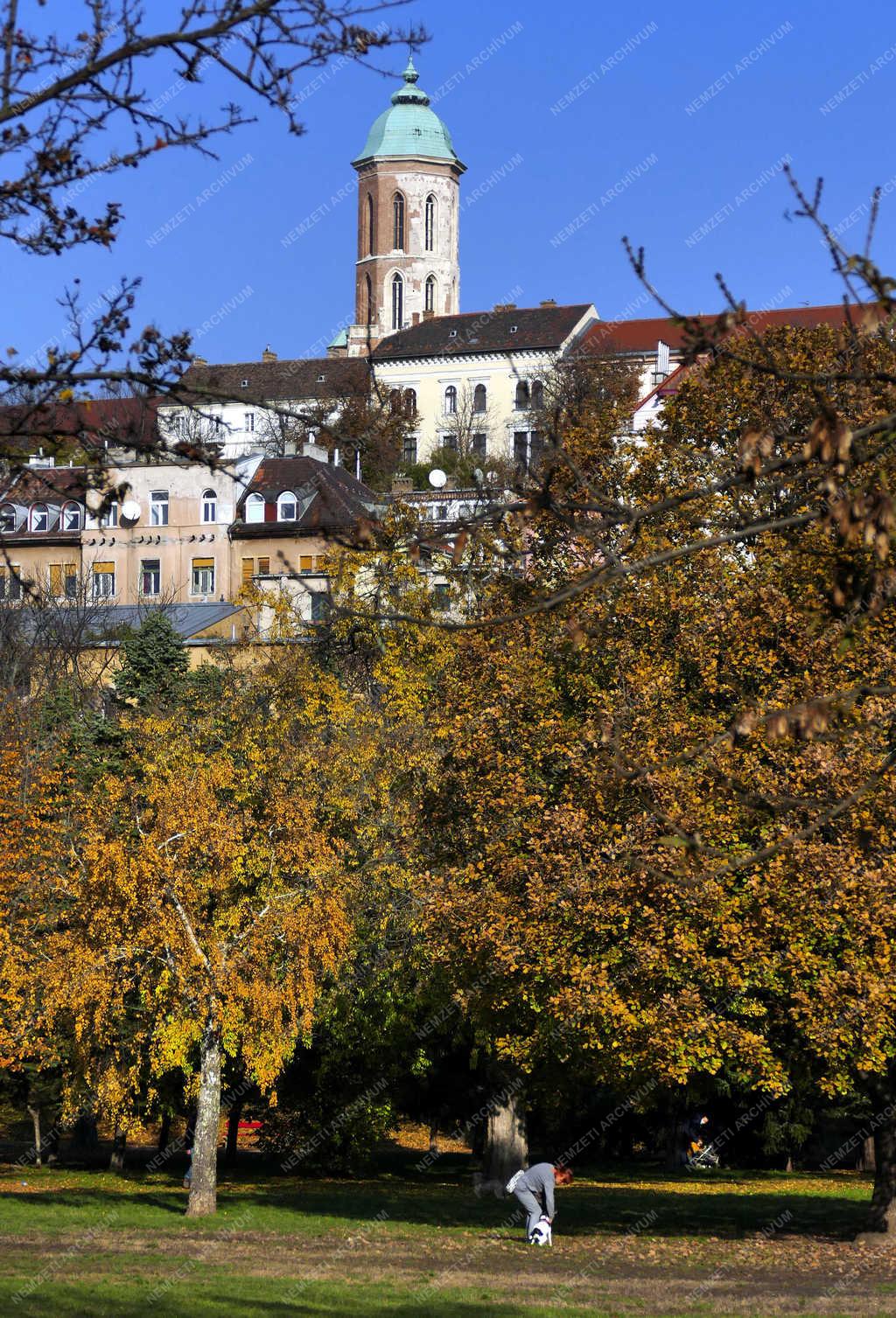 Természet - Budapest - Ősz a Vérmező parkjában