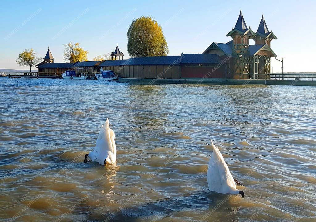 Természet - Keszthely - Az őszi Balaton