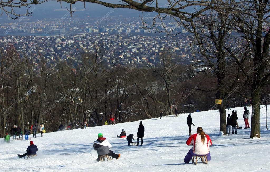 Szabadidő - Budapest - Szánkózók a Normafa lejtőjén