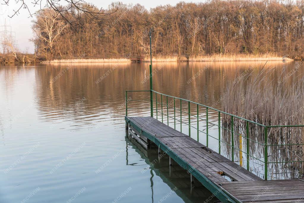 Természet - Tököl - Kis-Duna ág