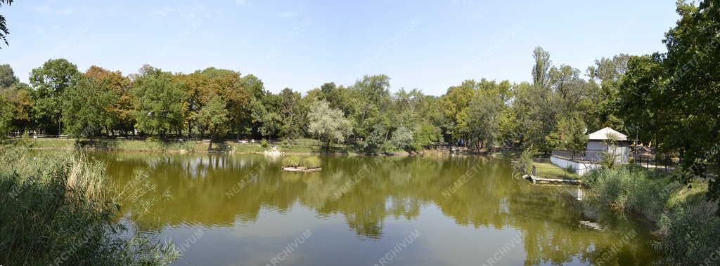 Természet - Budapest - Csónakázótó az Orczy-parkban