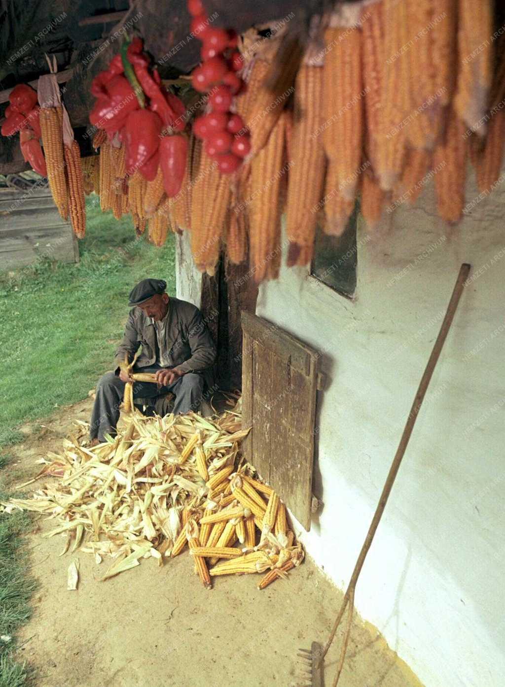 A szerző válogatása - Göcseji tárgyak, tájak, emberek