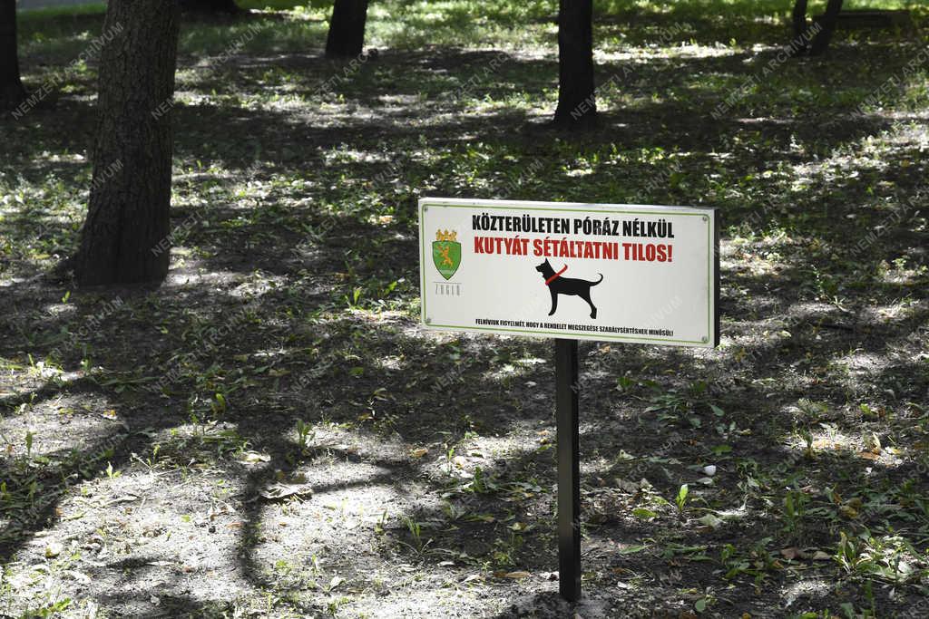 Városkép - Budapest - Füredi úti lakótelep