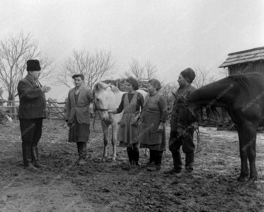 Mezőgazdaság - Új tagok a Héderváry Rózsa Ferenc Tsz-ben