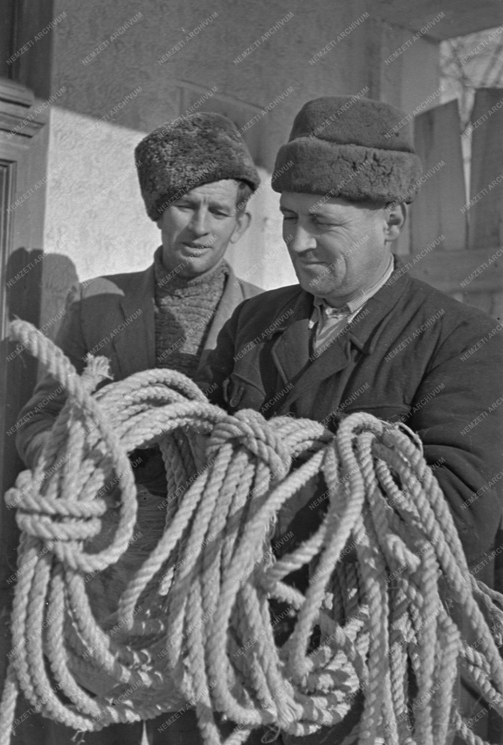 Különböző riportok