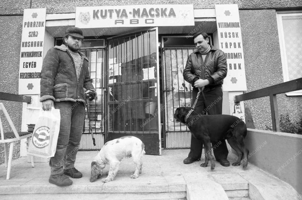 Kereskedelem - Kutya-macska ABC