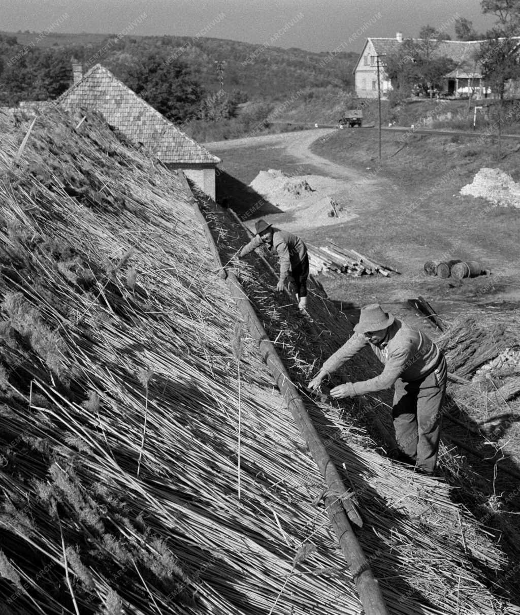 Építőipar - Építőbrigádok a Hőgyészi Állami Gazdaságban