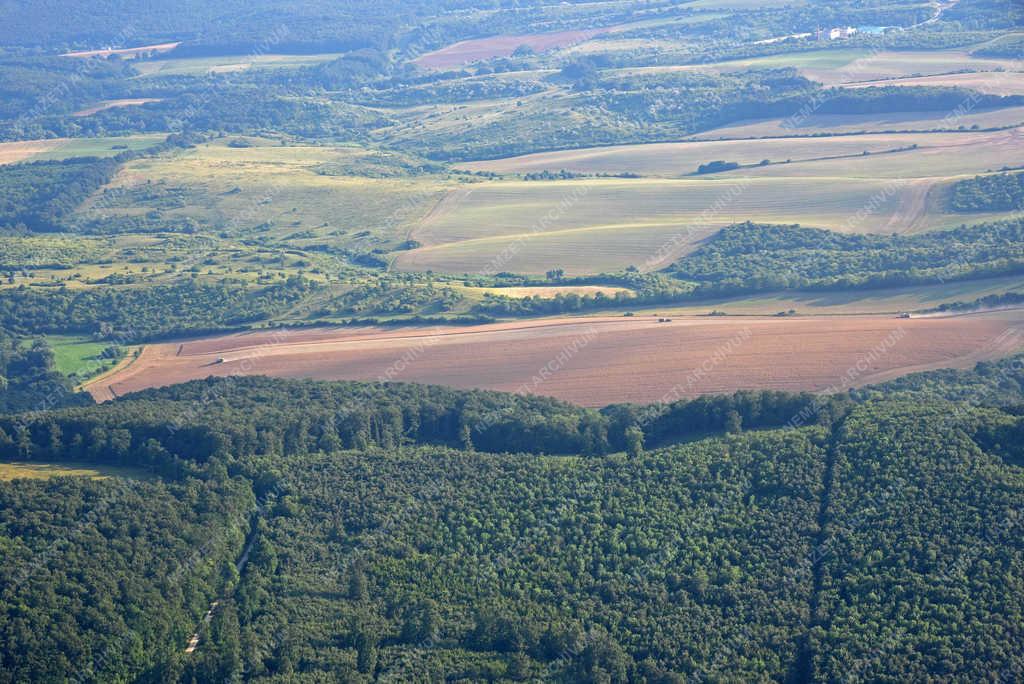 Légi felvétel - Tatabánya - Aratás