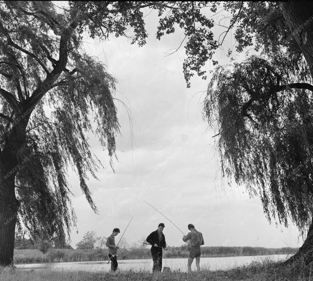 Szabadidő - Horgászok a Duna mellékágában