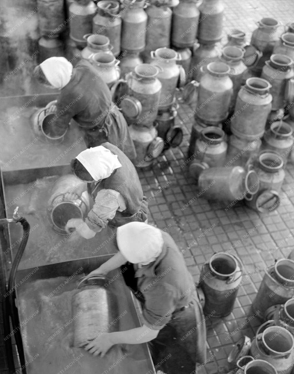 Élelmiszeripar - Zala Megyei Tejipari Vállalat