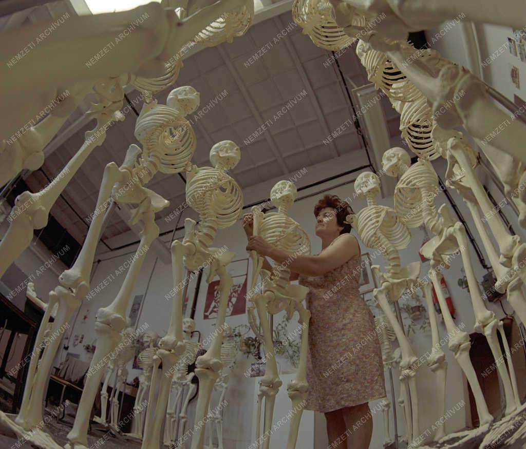 Ipar - Oktatás - Országos Tanszergyártó- és értékesítő Vállalat 