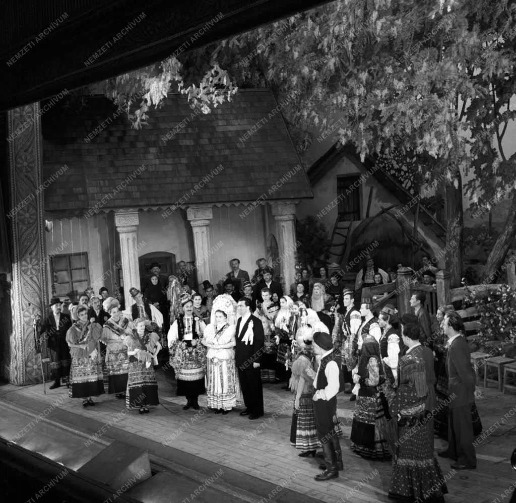 Kultúra - Operett - Boci-boci tarka